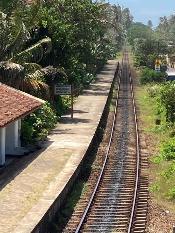 Channa Villa & Tours Bentota Dış mekan fotoğraf